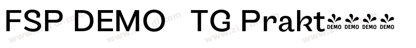 FSP DEMO   TG Prakt字体转换